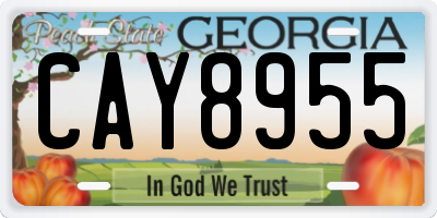 GA license plate CAY8955
