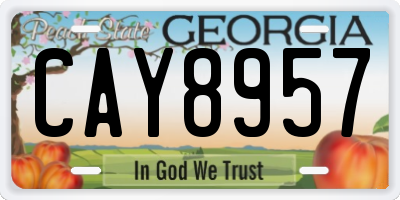 GA license plate CAY8957