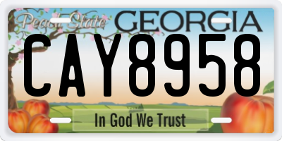 GA license plate CAY8958