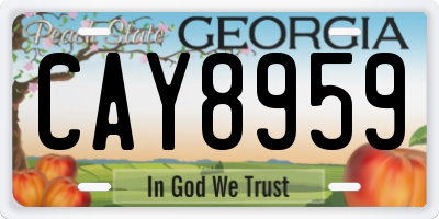 GA license plate CAY8959