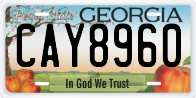 GA license plate CAY8960