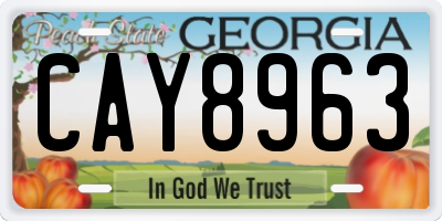GA license plate CAY8963