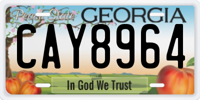 GA license plate CAY8964