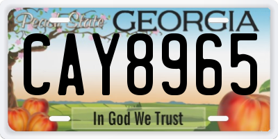 GA license plate CAY8965