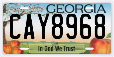 GA license plate CAY8968