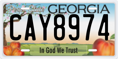 GA license plate CAY8974