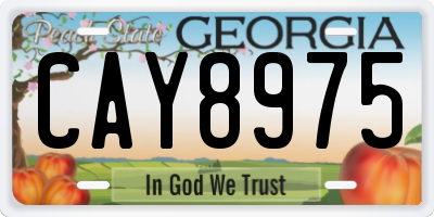 GA license plate CAY8975