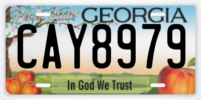 GA license plate CAY8979