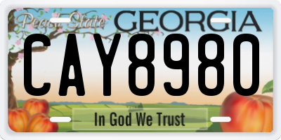 GA license plate CAY8980