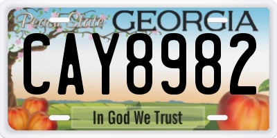 GA license plate CAY8982