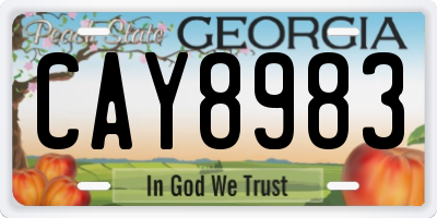 GA license plate CAY8983