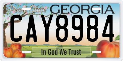 GA license plate CAY8984