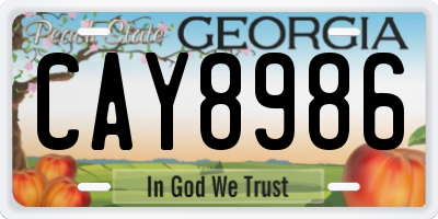 GA license plate CAY8986