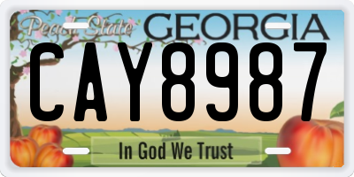GA license plate CAY8987