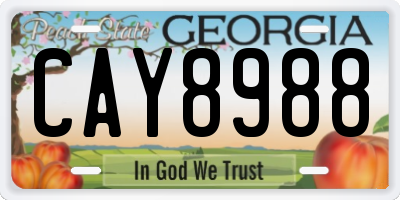 GA license plate CAY8988