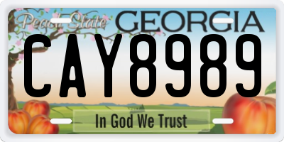 GA license plate CAY8989