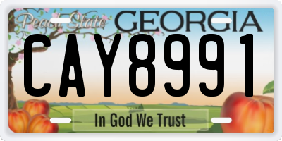 GA license plate CAY8991