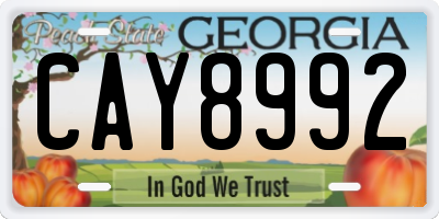 GA license plate CAY8992