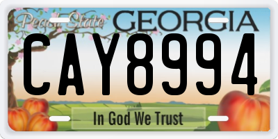 GA license plate CAY8994
