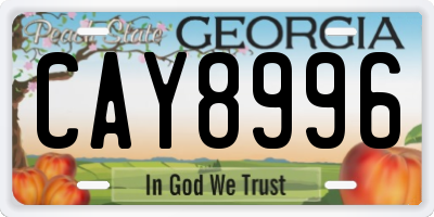 GA license plate CAY8996