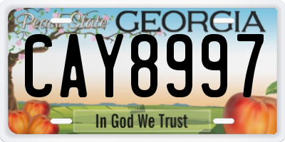 GA license plate CAY8997