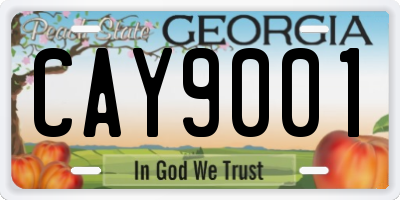 GA license plate CAY9001