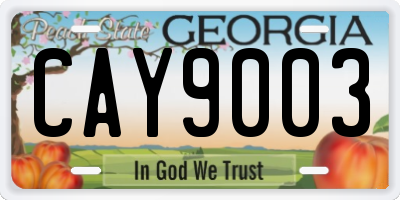 GA license plate CAY9003
