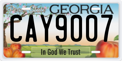 GA license plate CAY9007