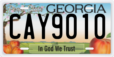 GA license plate CAY9010