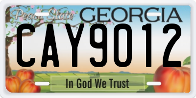 GA license plate CAY9012
