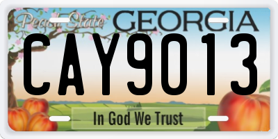 GA license plate CAY9013