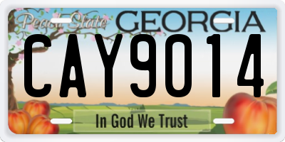 GA license plate CAY9014