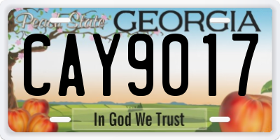 GA license plate CAY9017