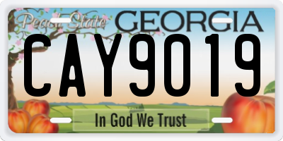 GA license plate CAY9019