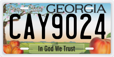 GA license plate CAY9024