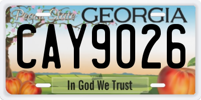 GA license plate CAY9026