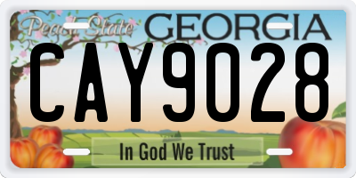 GA license plate CAY9028