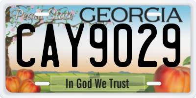 GA license plate CAY9029