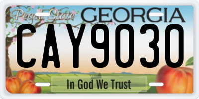 GA license plate CAY9030