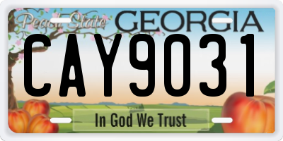 GA license plate CAY9031