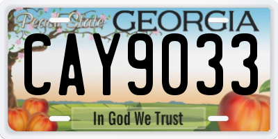 GA license plate CAY9033