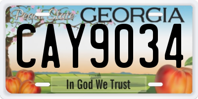 GA license plate CAY9034