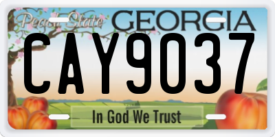 GA license plate CAY9037