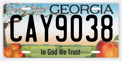 GA license plate CAY9038