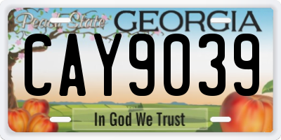 GA license plate CAY9039