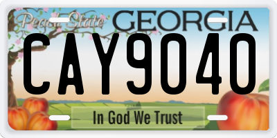 GA license plate CAY9040