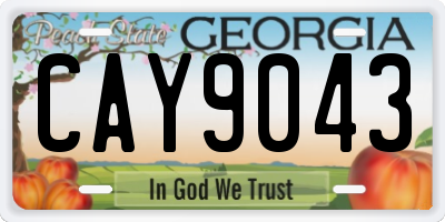 GA license plate CAY9043