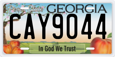 GA license plate CAY9044