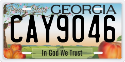 GA license plate CAY9046
