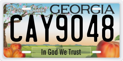 GA license plate CAY9048